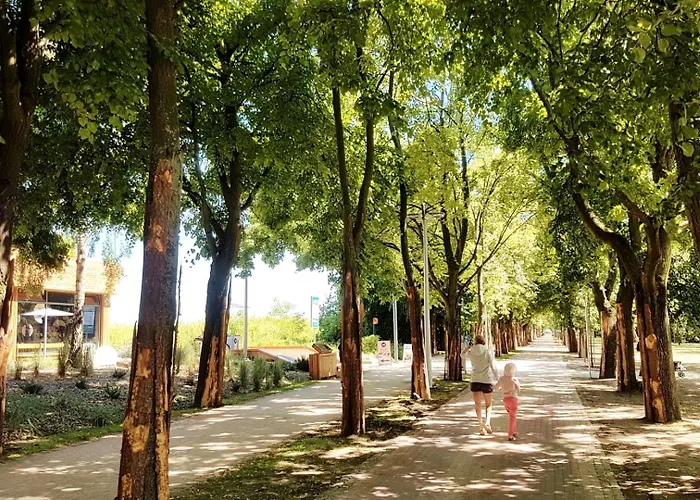 In Center Near The *