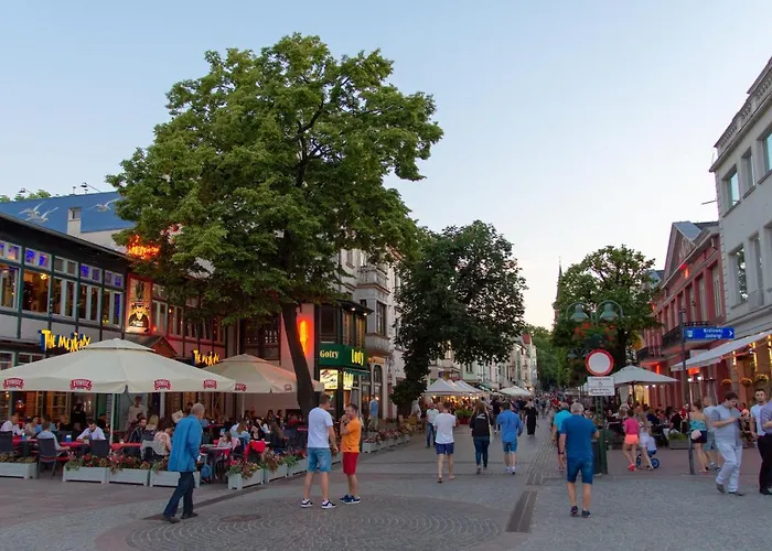 Apartman In Center Near The